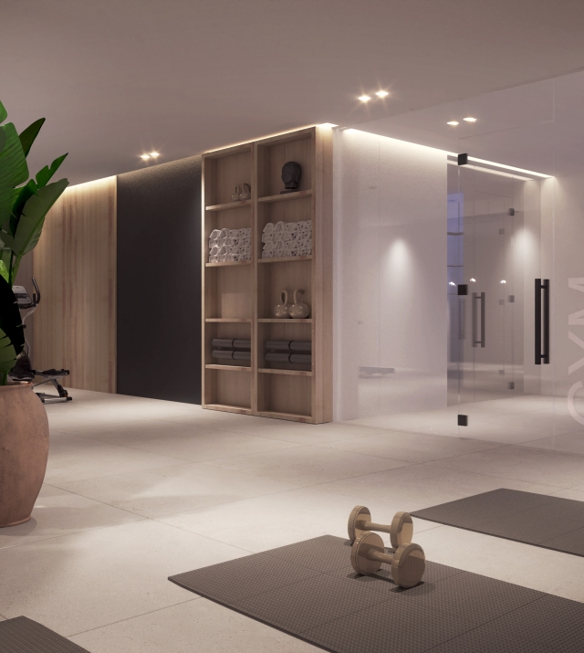 Resa Estates plot 1can Furnet renders modern villa Ibiza 1 gym.jpg